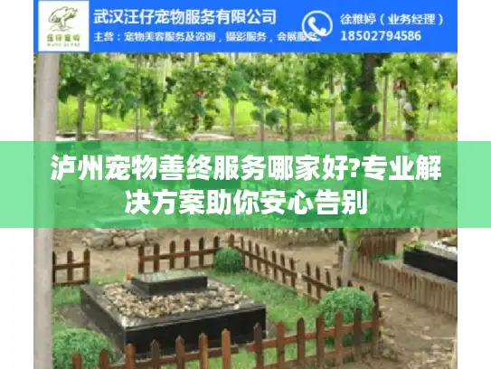 泸州宠物善终服务哪家好?专业解决方案助你安心告别