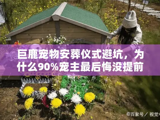 巨鹿宠物安葬仪式避坑，为什么90%宠主最后悔没提前问这3个问题？