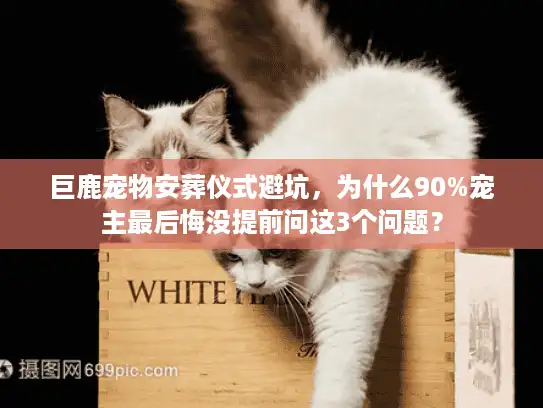 巨鹿宠物安葬仪式避坑，为什么90%宠主最后悔没提前问这3个问题？