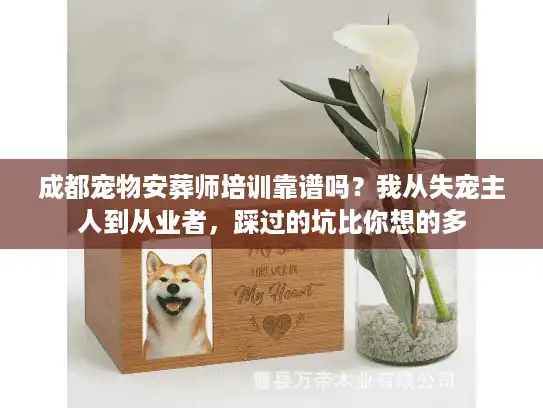 成都宠物安葬师培训靠谱吗？我从失宠主人到从业者，踩过的坑比你想的多