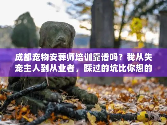 成都宠物安葬师培训靠谱吗？我从失宠主人到从业者，踩过的坑比你想的多