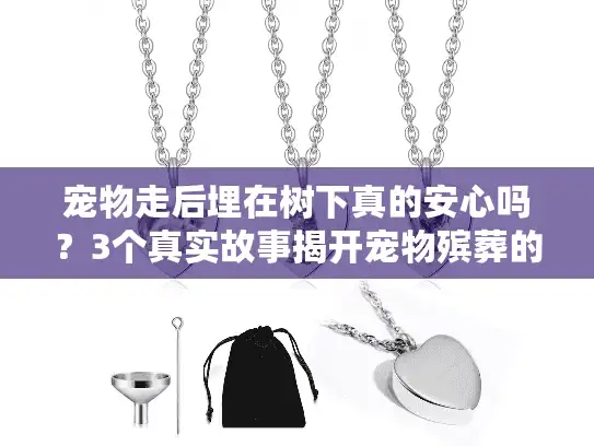 宠物走后埋在树下真的安心吗？3个真实故事揭开宠物殡葬的关键真相