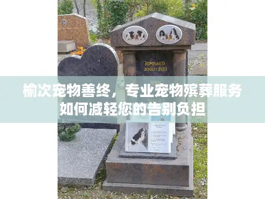 榆次宠物善终，专业宠物殡葬服务如何减轻您的告别负担