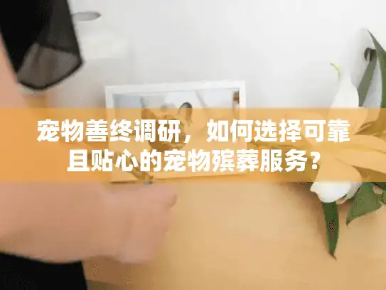 宠物善终调研，如何选择可靠且贴心的宠物殡葬服务？