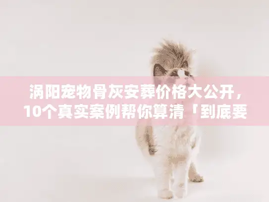 涡阳宠物骨灰安葬价格大公开，10个真实案例帮你算清「到底要花多少钱」