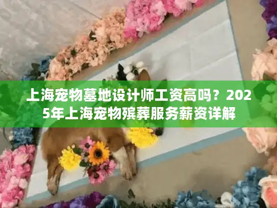 上海宠物墓地设计师工资高吗？2025年上海宠物殡葬服务薪资详解