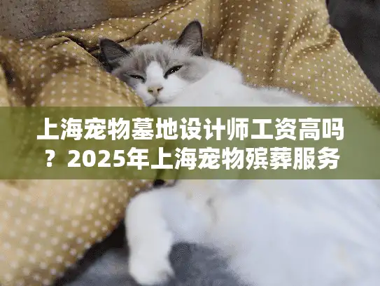 上海宠物墓地设计师工资高吗？2025年上海宠物殡葬服务薪资详解