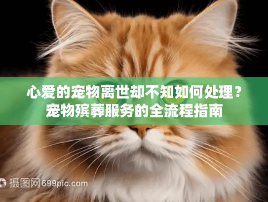 心爱的宠物离世却不知如何处理？宠物殡葬服务的全流程指南