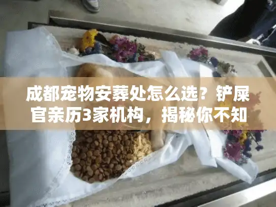 成都宠物安葬处怎么选？铲屎官亲历3家机构，揭秘你不知道的服务真相