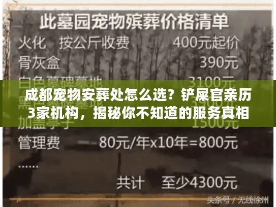 成都宠物安葬处怎么选？铲屎官亲历3家机构，揭秘你不知道的服务真相