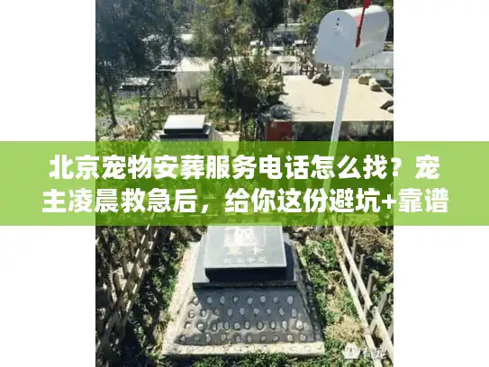 北京宠物安葬服务电话怎么找？宠主凌晨救急后，给你这份避坑+靠谱清单