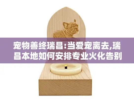 宠物善终瑞昌:当爱宠离去,瑞昌本地如何安排专业火化告别?