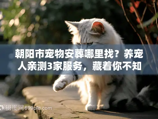 朝阳市宠物安葬哪里找？养宠人亲测3家服务，藏着你不知道的行业门道