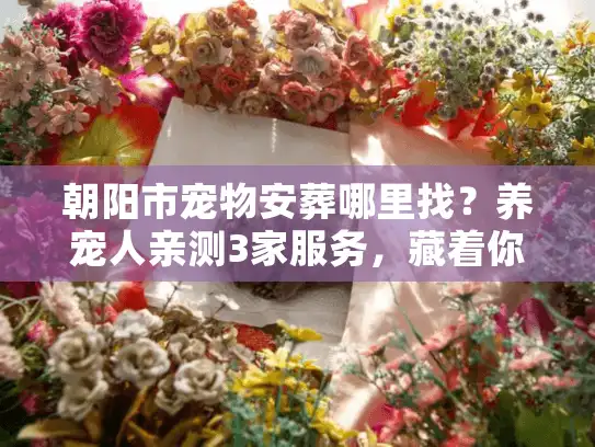 朝阳市宠物安葬哪里找？养宠人亲测3家服务，藏着你不知道的行业门道