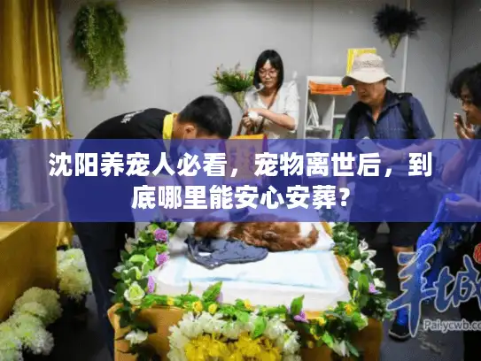沈阳养宠人必看，宠物离世后，到底哪里能安心安葬？