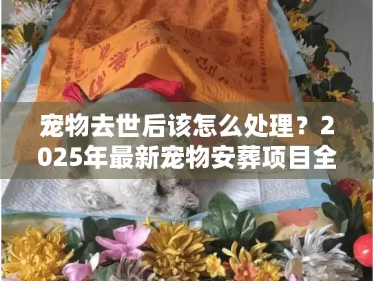 宠物去世后该怎么处理？2025年最新宠物安葬项目全解析，90%主人都没搞懂的关键细节