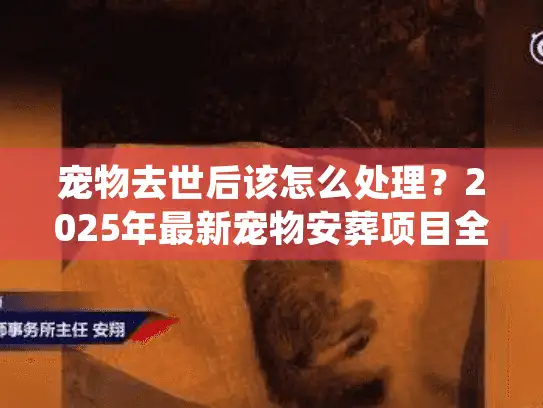 宠物去世后该怎么处理？2025年最新宠物安葬项目全解析，90%主人都没搞懂的关键细节