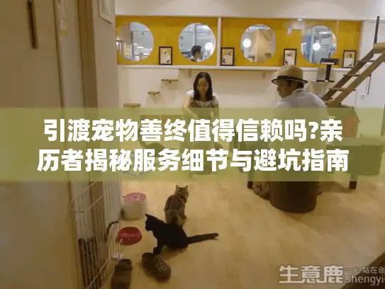 引渡宠物善终值得信赖吗?亲历者揭秘服务细节与避坑指南