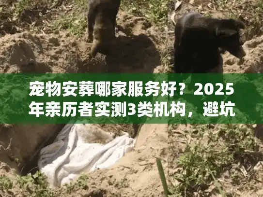 宠物安葬哪家服务好？2025年亲历者实测3类机构，避坑指南藏在细节里