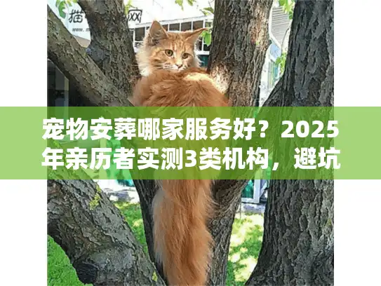 宠物安葬哪家服务好？2025年亲历者实测3类机构，避坑指南藏在细节里