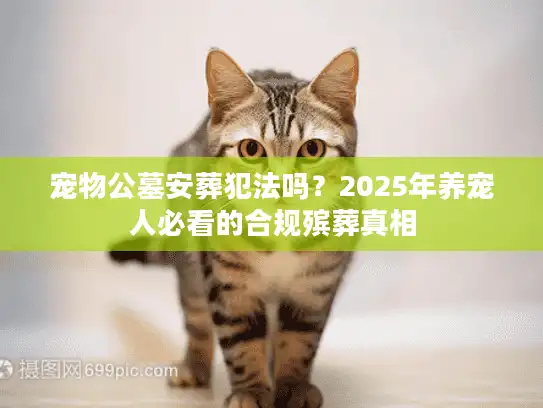宠物公墓安葬犯法吗？2025年养宠人必看的合规殡葬真相