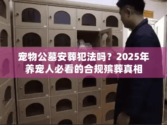 宠物公墓安葬犯法吗？2025年养宠人必看的合规殡葬真相