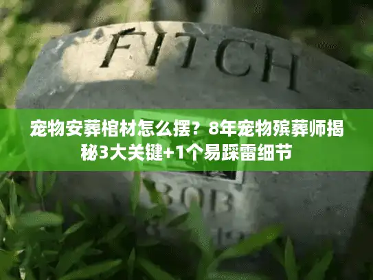 宠物安葬棺材怎么摆？8年宠物殡葬师揭秘3大关键+1个易踩雷细节