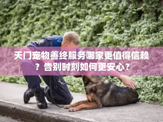 天门宠物善终服务哪家更值得信赖？告别时刻如何更安心？