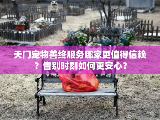 天门宠物善终服务哪家更值得信赖？告别时刻如何更安心？