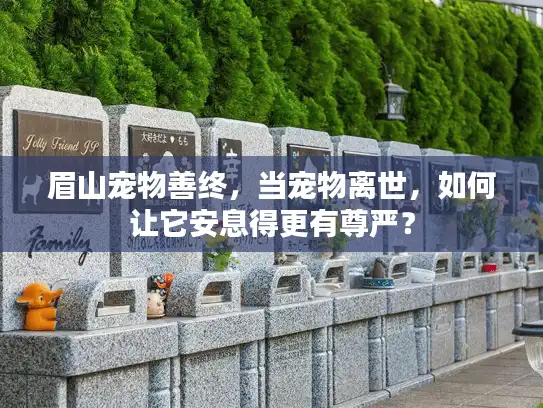 眉山宠物善终，当宠物离世，如何让它安息得更有尊严？