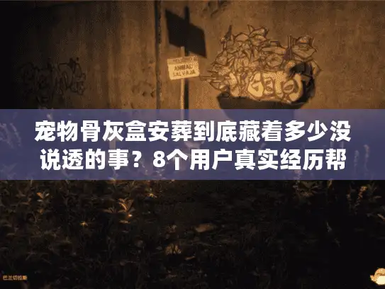 宠物骨灰盒安葬到底藏着多少没说透的事？8个用户真实经历帮你避坑