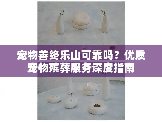 宠物善终乐山可靠吗？优质宠物殡葬服务深度指南