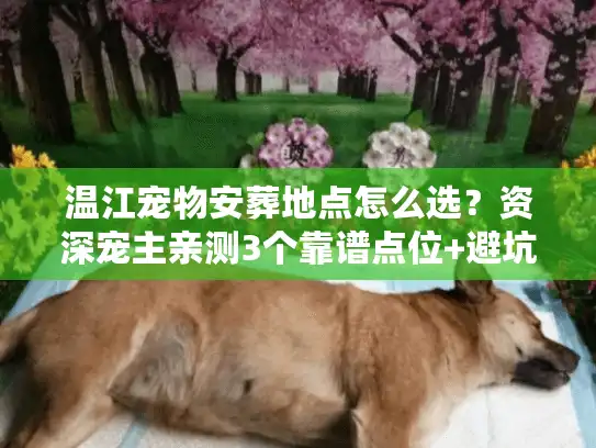温江宠物安葬地点怎么选？资深宠主亲测3个靠谱点位+避坑指南