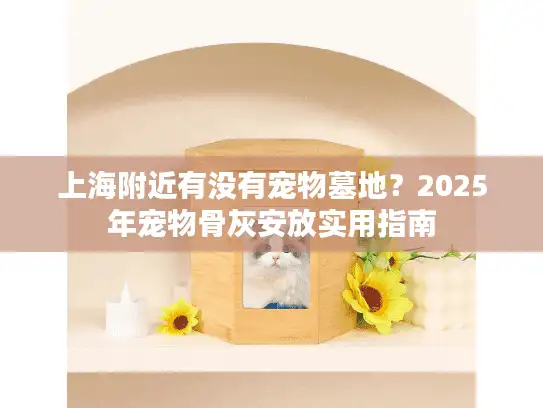 上海附近有没有宠物墓地？2025年宠物骨灰安放实用指南