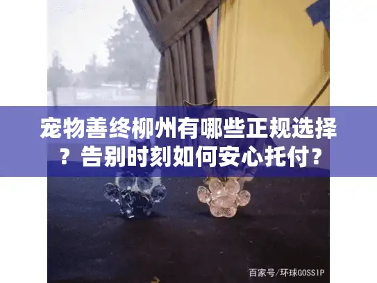 宠物善终柳州有哪些正规选择？告别时刻如何安心托付？