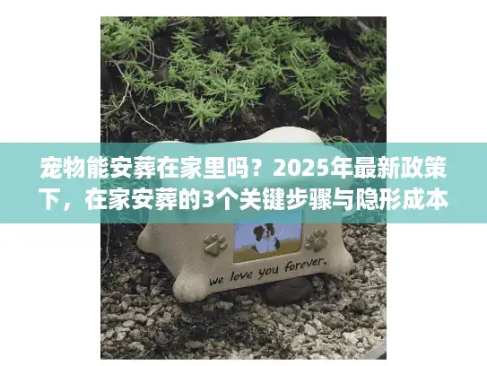 宠物能安葬在家里吗？2025年最新政策下，在家安葬的3个关键步骤与隐形成本