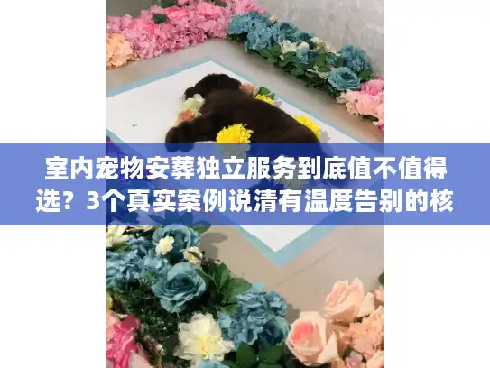 室内宠物安葬独立服务到底值不值得选？3个真实案例说清有温度告别的核心