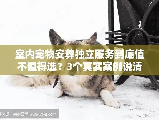 室内宠物安葬独立服务到底值不值得选？3个真实案例说清有温度告别的核心