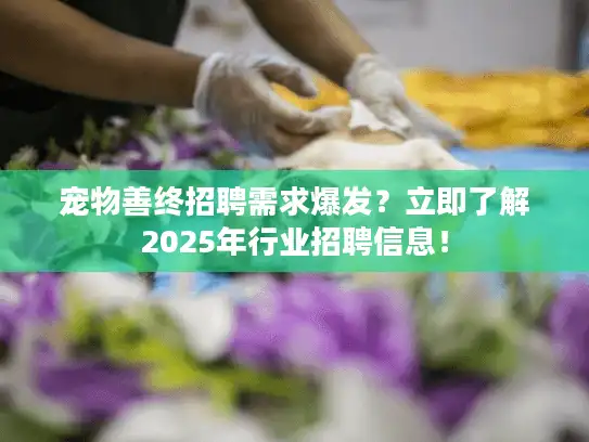 宠物善终招聘需求爆发？立即了解2025年行业招聘信息！