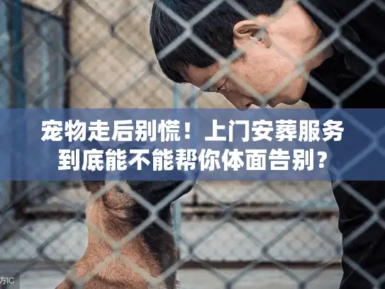 宠物走后别慌！上门安葬服务到底能不能帮你体面告别？