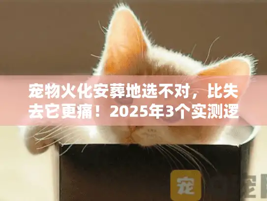 宠物火化安葬地选不对，比失去它更痛！2025年3个实测逻辑帮你避坑