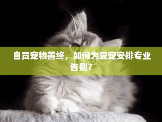 自贡宠物善终，如何为爱宠安排专业告别？