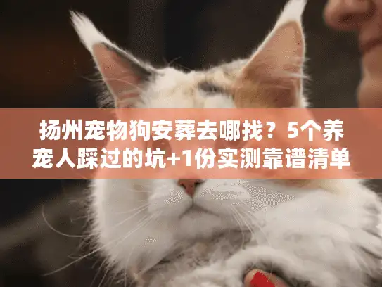 扬州宠物狗安葬去哪找？5个养宠人踩过的坑+1份实测靠谱清单