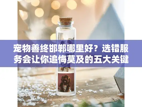宠物善终邯郸哪里好？选错服务会让你追悔莫及的五大关键点
