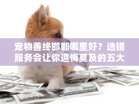 宠物善终邯郸哪里好？选错服务会让你追悔莫及的五大关键点