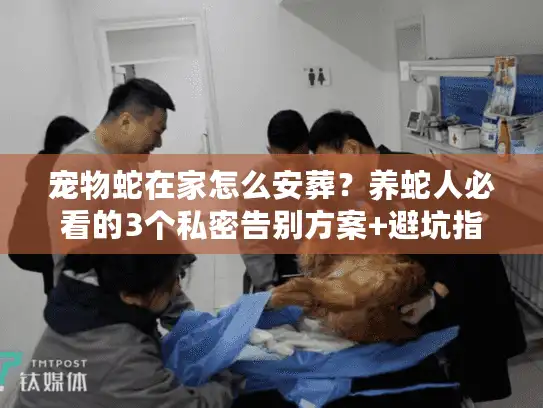宠物蛇在家怎么安葬？养蛇人必看的3个私密告别方案+避坑指南