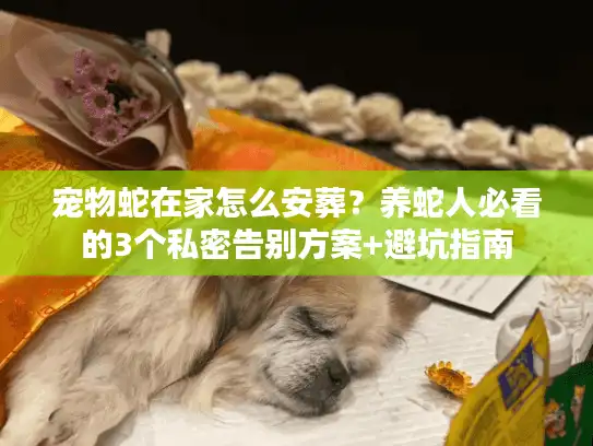 宠物蛇在家怎么安葬？养蛇人必看的3个私密告别方案+避坑指南