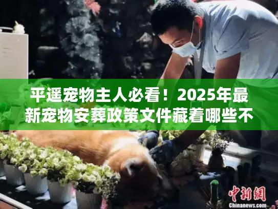平遥宠物主人必看！2025年最新宠物安葬政策文件藏着哪些不能踩的坑？