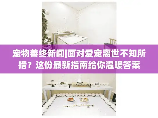 宠物善终新闻|面对爱宠离世不知所措？这份最新指南给你温暖答案