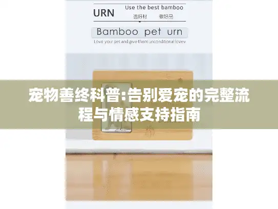 宠物善终科普:告别爱宠的完整流程与情感支持指南